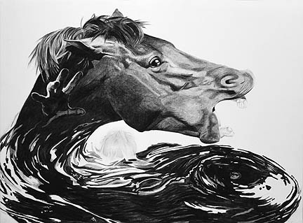 Kat O'Connor, drawing, conte, horse