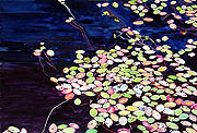 Kat O'Connor lily pads watercolor painting