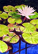 Kat O'Connor lily flower pads pond watercolor painting