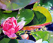 Kat O'Connor lily pads flower oil painting